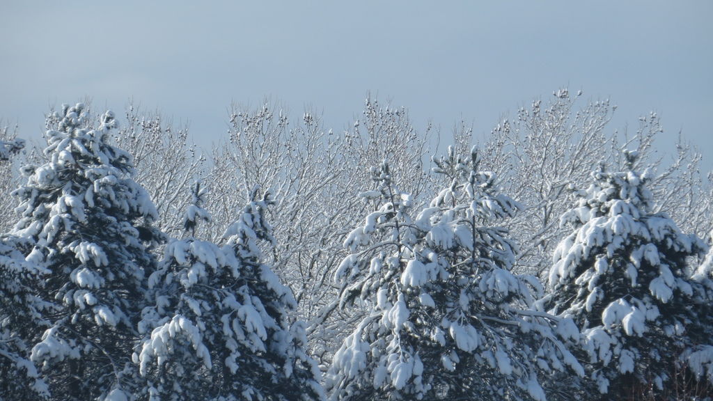 踏雪尋野趣 0213-04