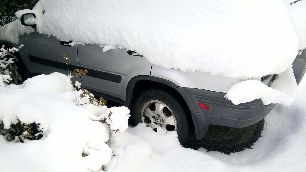 踏雪尋野趣 0213-05