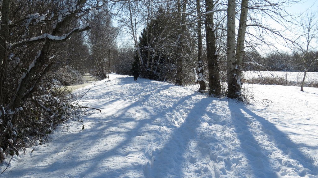 踏雪尋野趣 0213-16