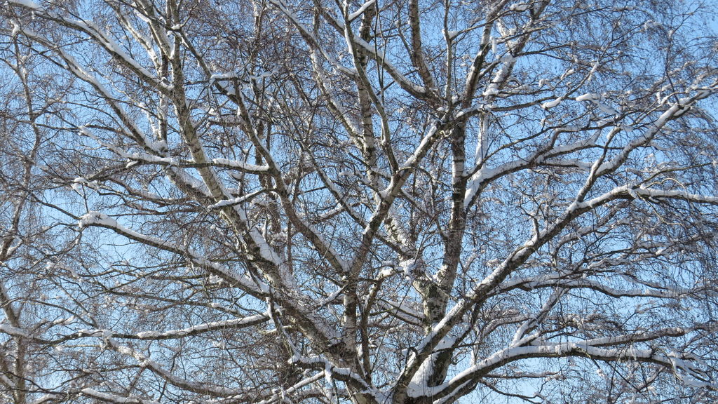 踏雪尋野趣 0213-18