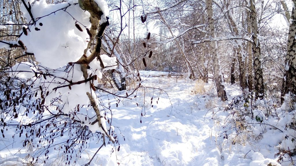 踏雪尋野趣 0213-20