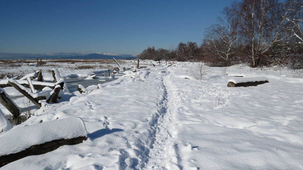 踏雪尋野趣 0213-32