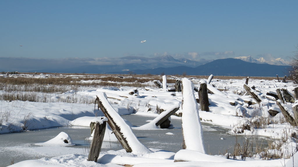 踏雪尋野趣 0213-35