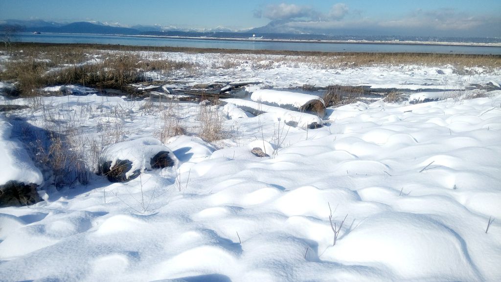 踏雪尋野趣 0213-45