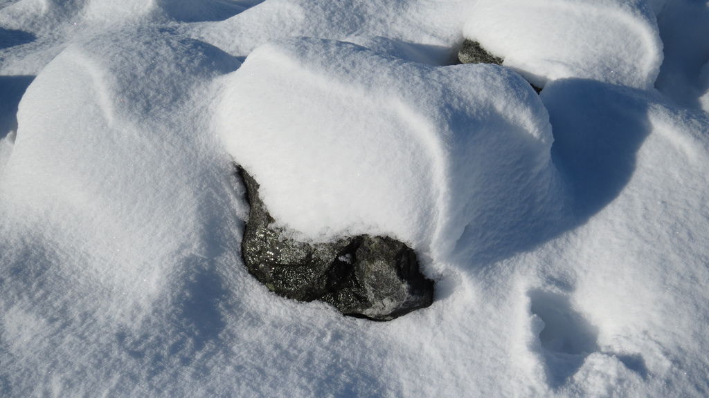 踏雪尋野趣 0213-49