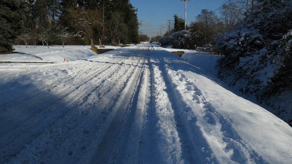 踏雪尋野趣 0213-68