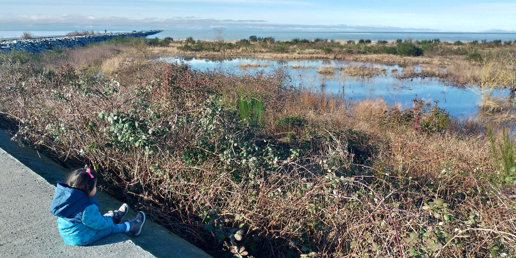 海琪的童書年代 20210203_103605_Iona Beach Regional Park.jpg