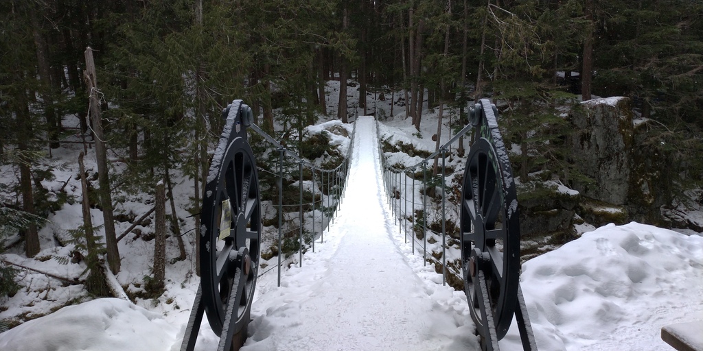 惠斯勒三天兩夜小度假 20210214_104219_Train Wreck Trail, Whistler.jpg