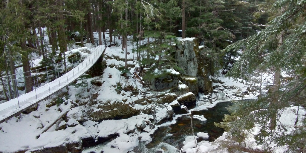 惠斯勒三天兩夜小度假 20210214_104339_Train Wreck Trail, Whistler.jpg