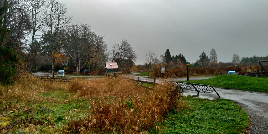 West Dyke Trail 雨中散步 20211125_095106_Terra Nova Rural Park.jpg