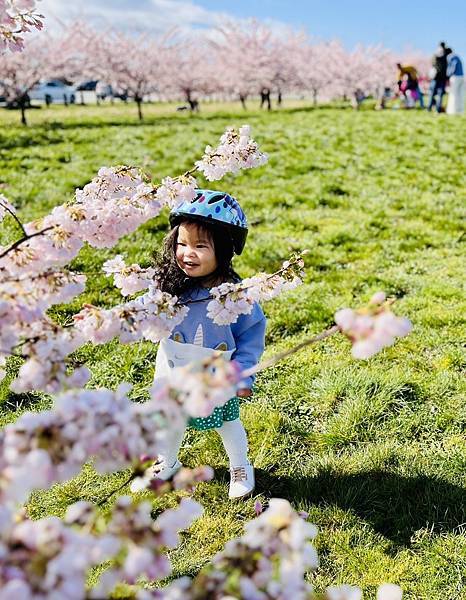 時間的腳步看的見 20240324_113202_Sa_YVR Park.JPG