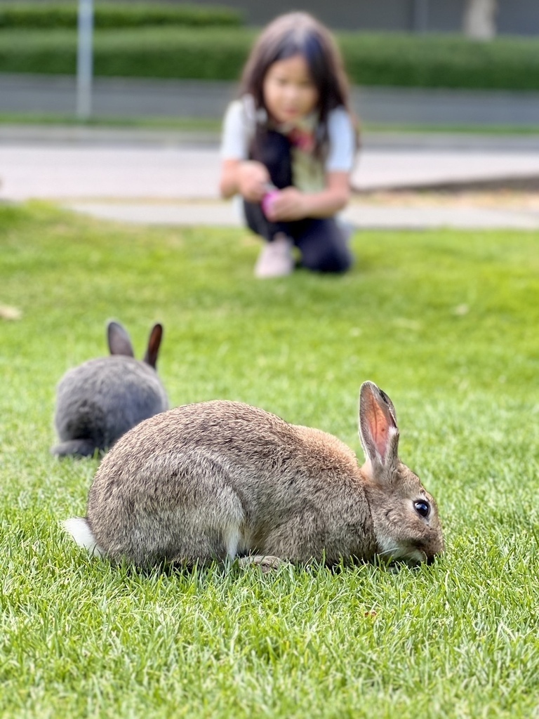 左傾 20250721_191002_He_Ama’s Home.JPG 左傾 20250721_191002_He_Ama’s Home.JPG