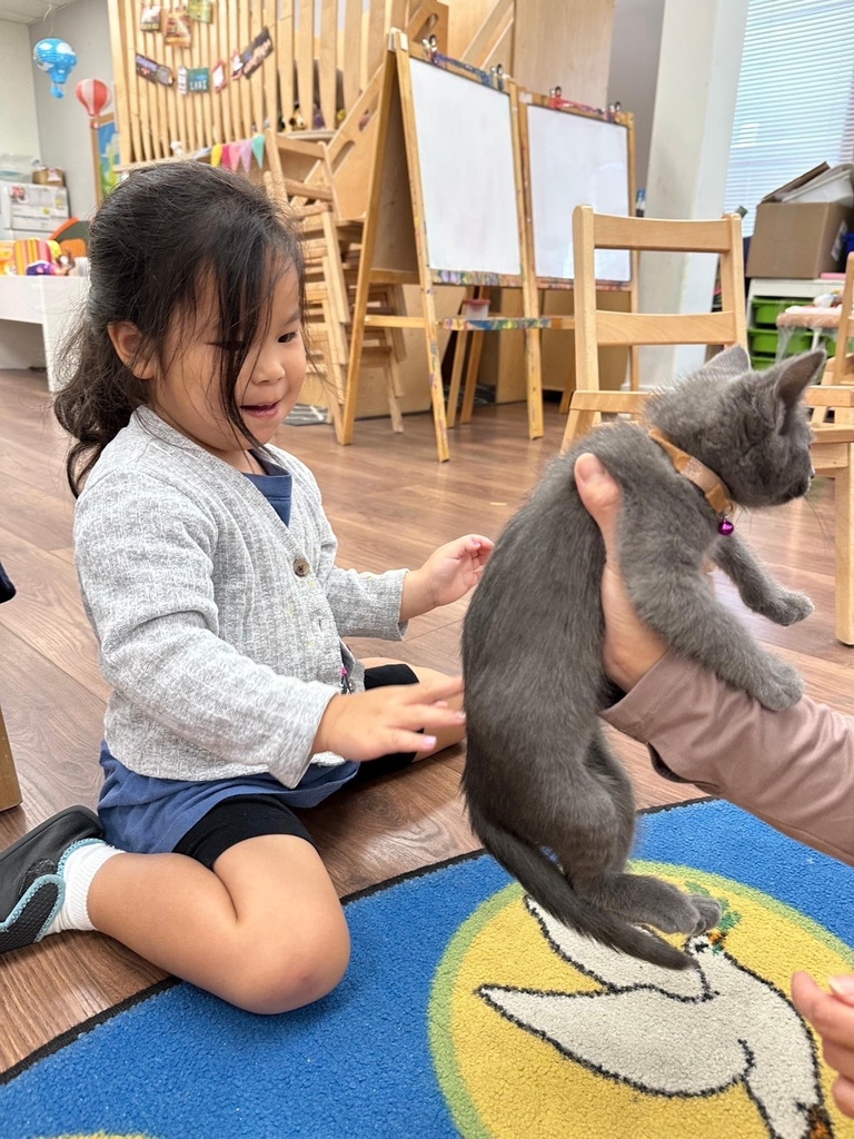 左傾 20250721_140001_Sa_Daycare.JPG 左傾 20250721_140001_Sa_Daycare.JPG