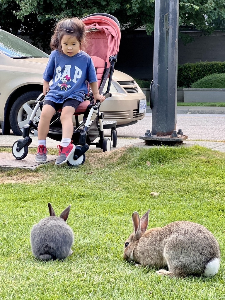 左傾 20250721_191000_Sa_Ama’s Home.JPG 左傾 20250721_191000_Sa_Ama’s Home.JPG