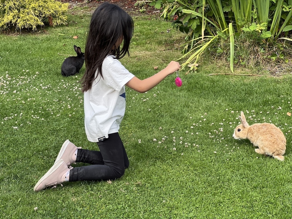 左傾 20250721_191004_He_Ama’s Home.JPG 左傾 20250721_191004_He_Ama’s Home.JPG