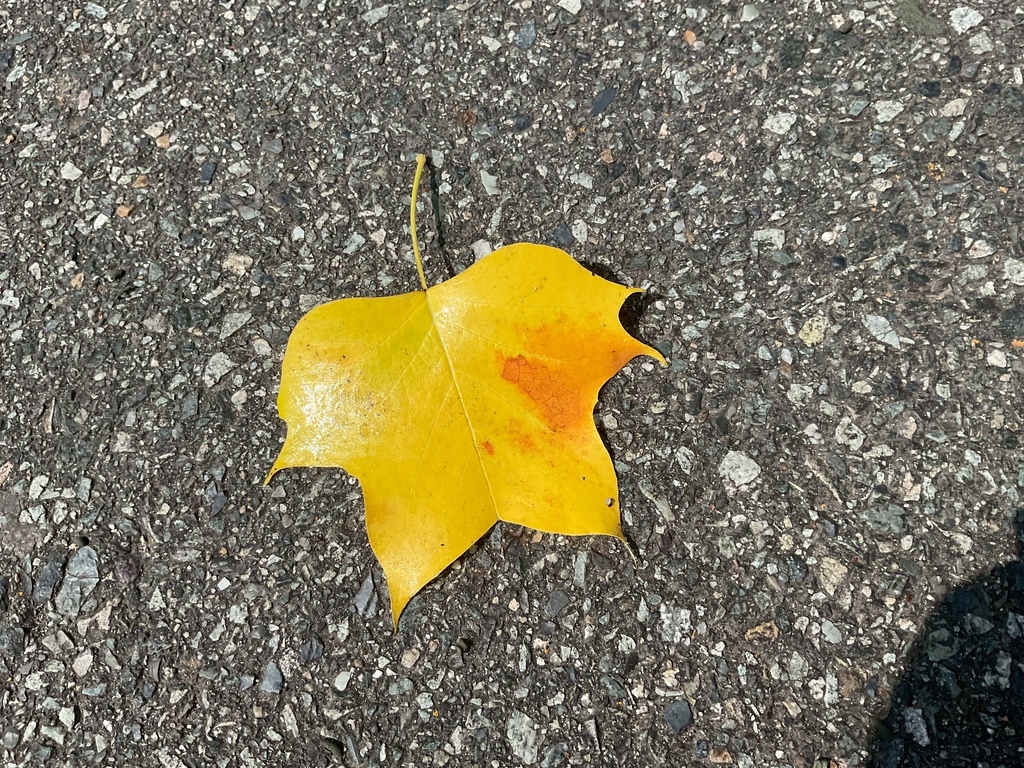 左傾 20250803_143800_Richmond Secondary School.JPG 左傾 20250803_143800_Richmond Secondary School.JPG