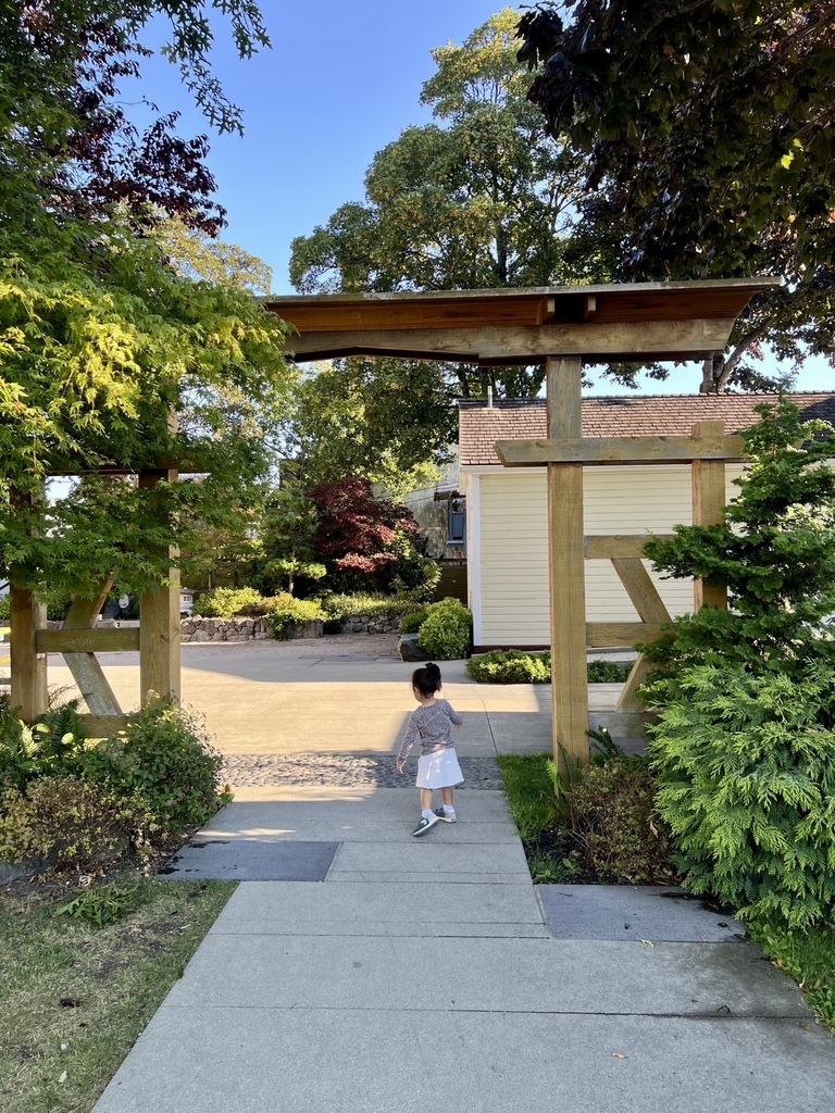 舒服 20250811_081300_Sa_Steveston Town Square Park.JPG 舒服 20250811_081300_Sa_Steveston Town Square Park.JPG