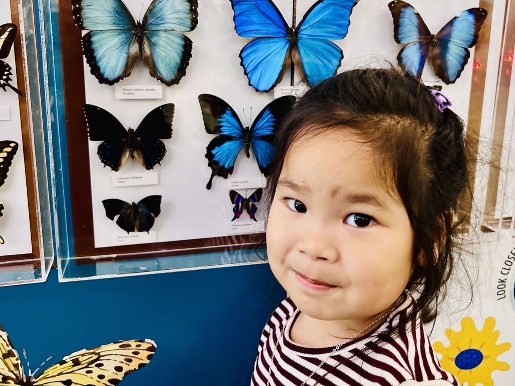 舒服 20250815_204713_Sa_Aberdeen Centre.JPG 舒服 20250815_204713_Sa_Aberdeen Centre.JPG