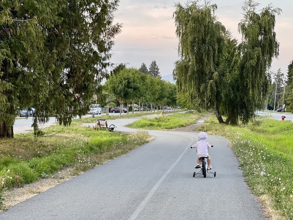 威權 20250831_190801_Sa_Railway.JPG 威權 20250831_190801_Sa_Railway.JPG