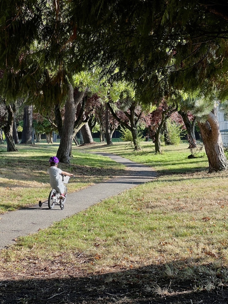 開學了 20250909_173800_Sa_Blundell Neighbourhood Park.JPG 開學了 20250909_173800_Sa_Blundell Neighbourhood Park.JPG