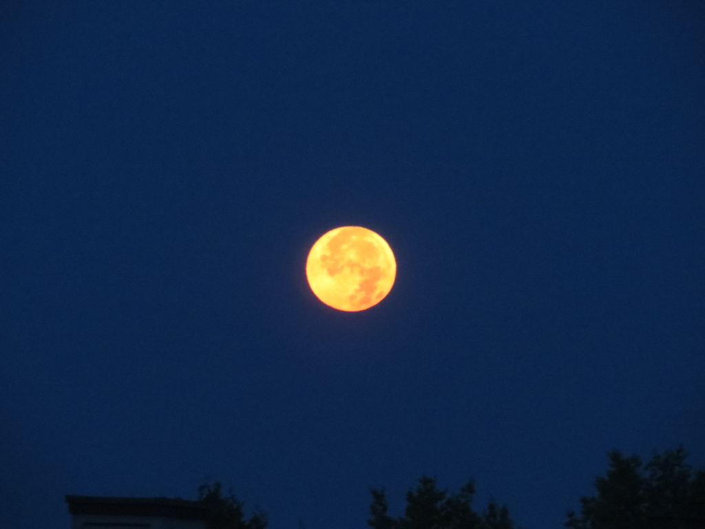 開學了 20250907_060500_Richmond Secondary School.JPG 開學了 20250907_060500_Richmond Secondary School.JPG