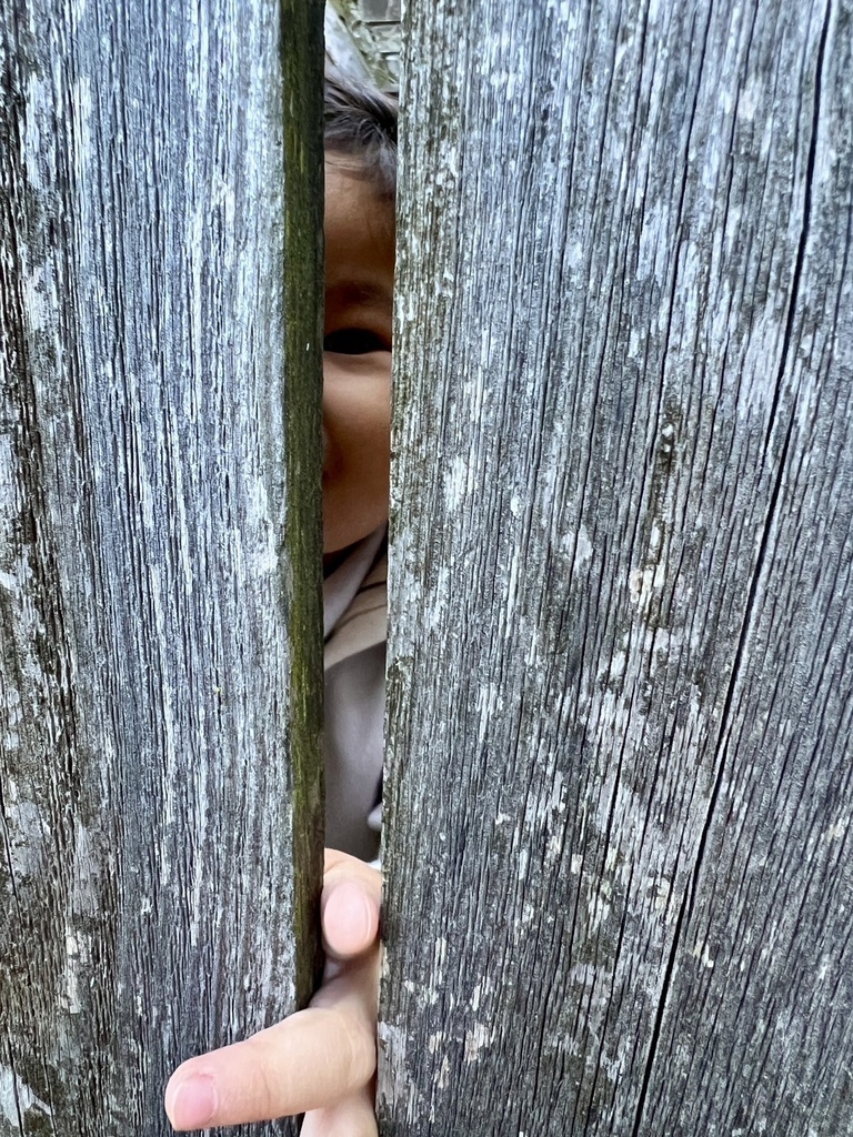 想開 20250922_080000_Sa_Home.JPG 想開 20250922_080000_Sa_Home.JPG