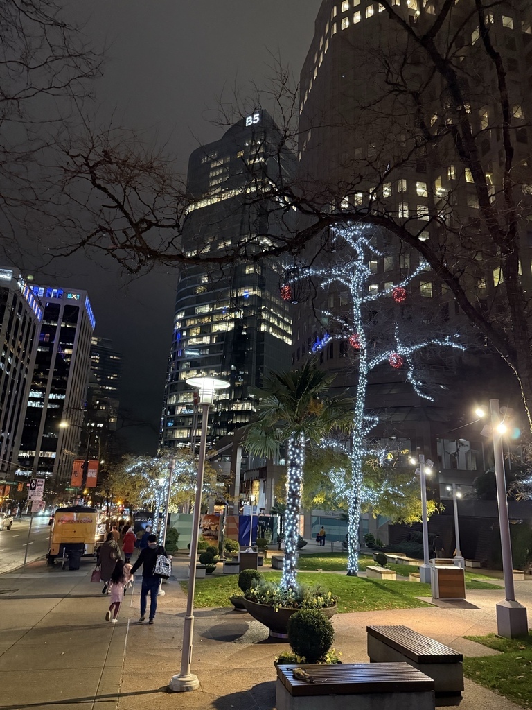 罌粟花日 20251116_184500_CaErHeSa_Christ Church Cathedral @ Burrard St, Vancouver.JPG 罌粟花日 20251116_184500_CaErHeSa_Christ Church Cathedral @ Burrard St, Vancouver.JPG