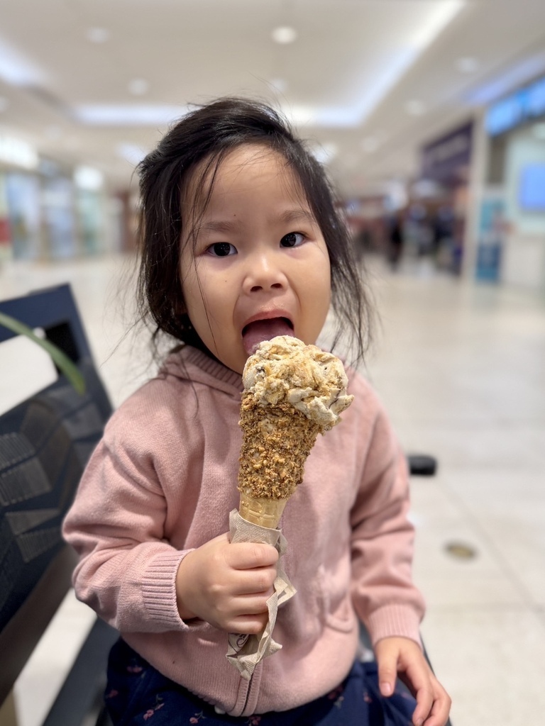 罌粟花日 20251108_190600_Sa_Ice cream.JPG 罌粟花日 20251108_190600_Sa_Ice cream.JPG