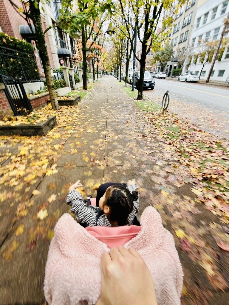 罌粟花日 20251116_114200_Sa_Downtown Vancouver.JPG 罌粟花日 20251116_114200_Sa_Downtown Vancouver.JPG