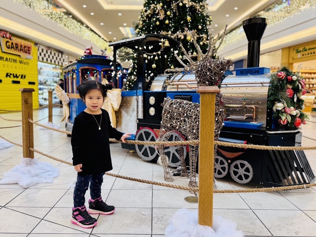 罌粟花日 20251115_135900_Sa_Shopping Mall.JPG 罌粟花日 20251115_135900_Sa_Shopping Mall.JPG