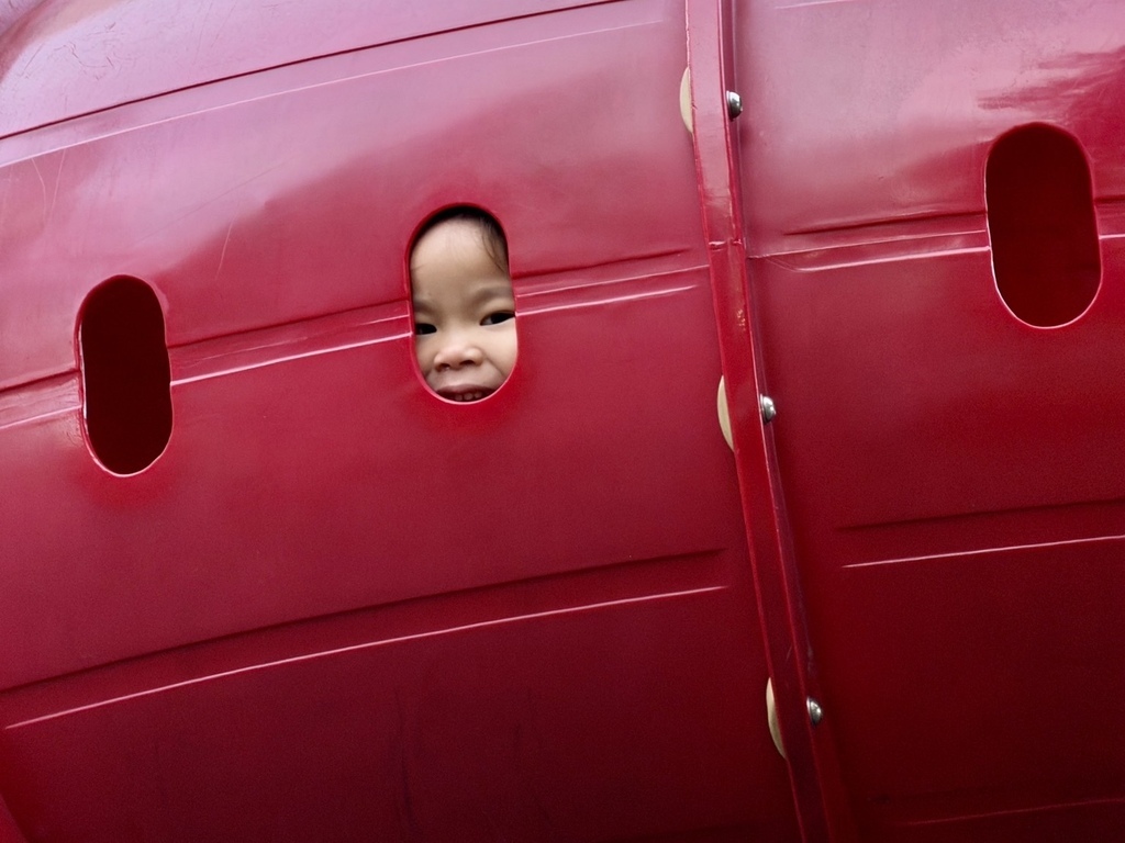 罌粟花日 20251111_095900_Sa_Downtown Vancouver.JPG 罌粟花日 20251111_095900_Sa_Downtown Vancouver.JPG