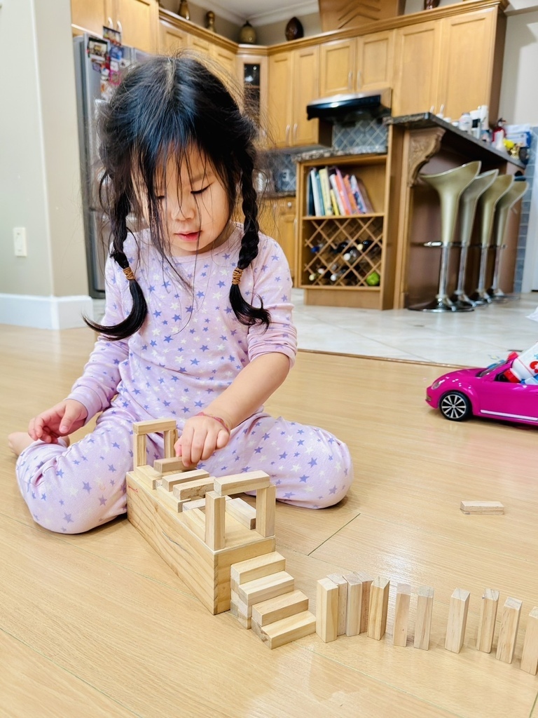 罌粟花日 20251115_091700_Sa_Home.JPG 罌粟花日 20251115_091700_Sa_Home.JPG