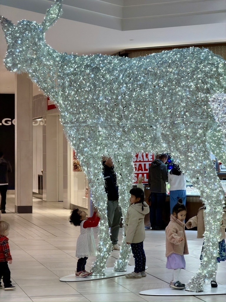 Black Friday (3y11m) Black Friday (3y11m)