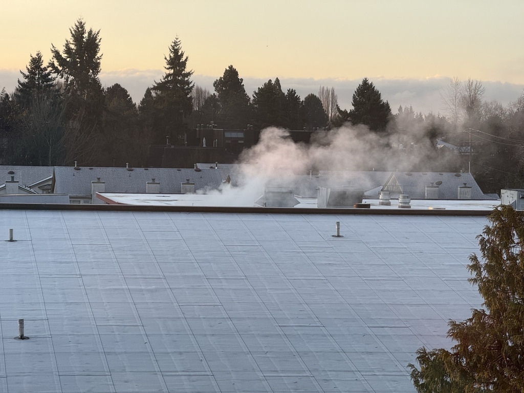 Black Friday (3y11m) Black Friday (3y11m)