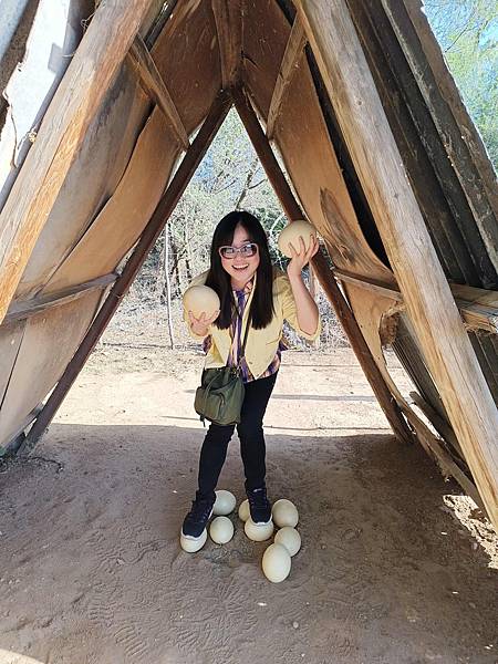 [南非]南非鴕鳥觀察日記-歐茲頌鴕鳥養殖場