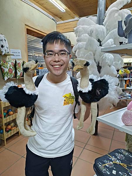 [南非]南非鴕鳥觀察日記-歐茲頌鴕鳥養殖場