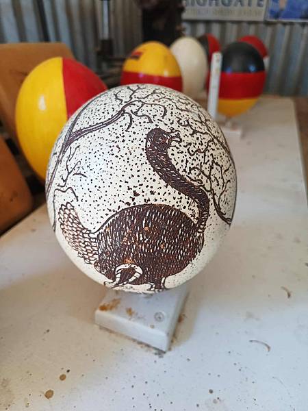 [南非]南非鴕鳥觀察日記-歐茲頌鴕鳥養殖場