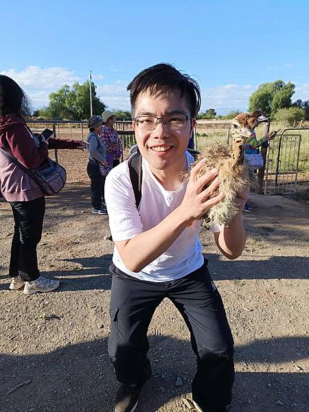 [南非]南非鴕鳥觀察日記-歐茲頌鴕鳥養殖場