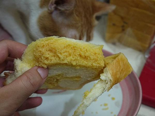 P1300445.JPG P1300445.JPG