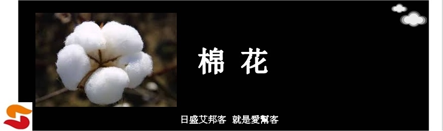 棉花 棉花