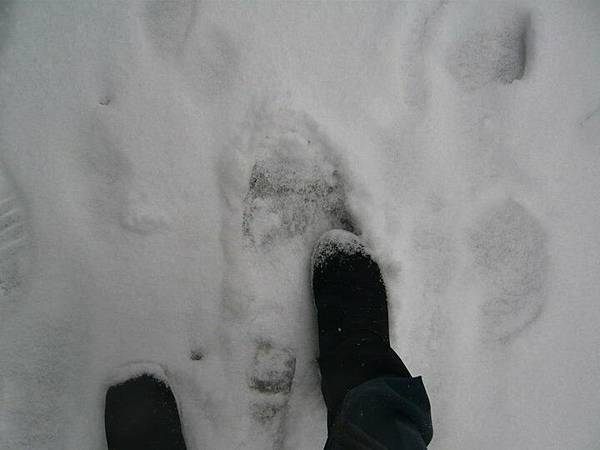 snow6.jpg