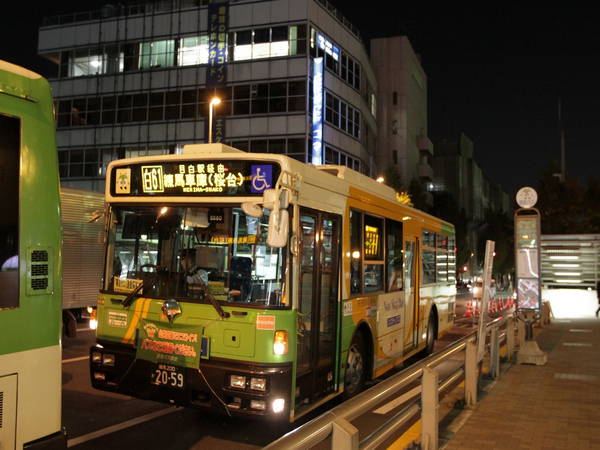 日本東京_2010-11-12-16-58-02.JPG