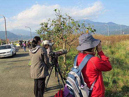 金山清水溼地15.JPG