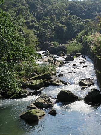 金山清水溼地151.JPG