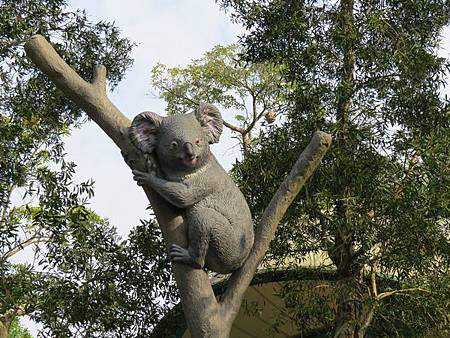 動物園10.JPG