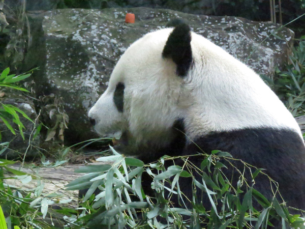 動物園22.JPG