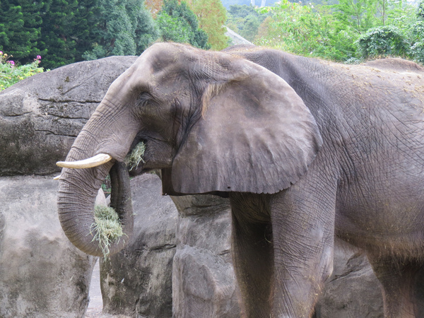 動物園55.JPG