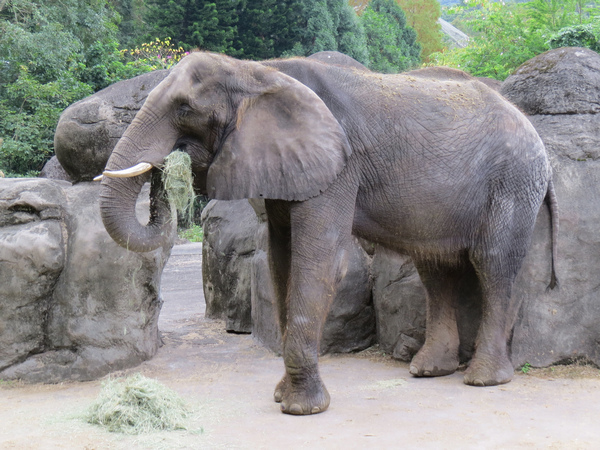 動物園52.JPG