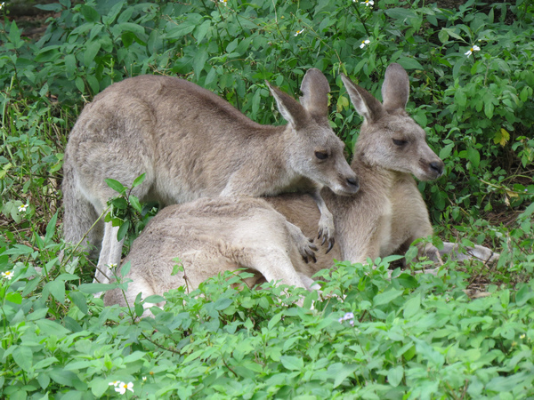 動物園85.JPG