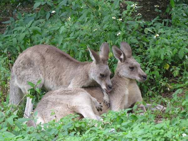 動物園84.JPG